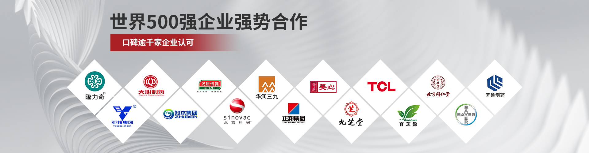 賽康尼-世界500強企業(yè)強勢合作，口碑逾千家企業(yè)認可