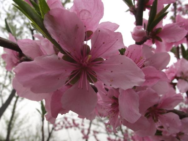 探索時代前沿的樂觀生活態(tài)度，笑春風(fēng)最新風(fēng)采