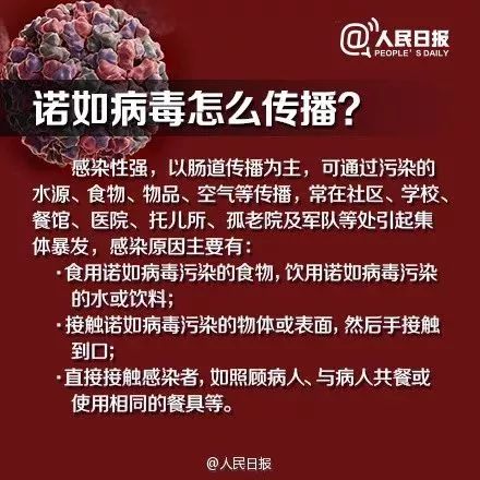 合肥病毒最新動態(tài)，奇妙一日揭秘進(jìn)展