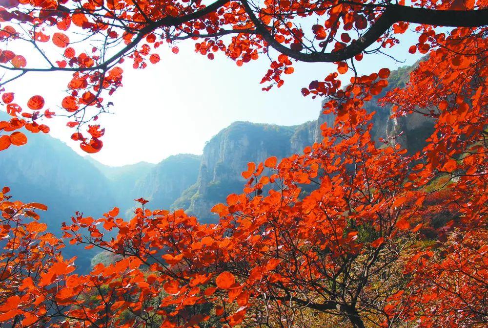 抹最新紅,抹最新紅——時(shí)尚潮流的艷麗印記