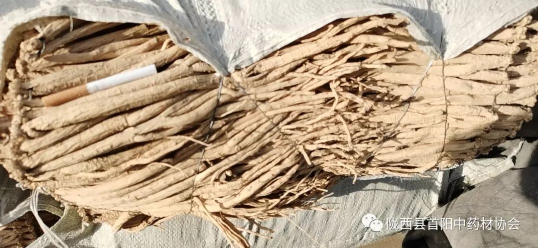 渭水源黨參行情最新動(dòng)態(tài)更新