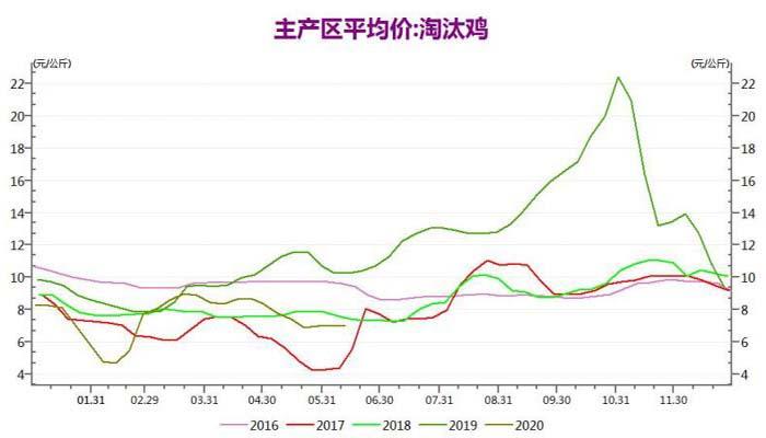 蛋雞淘汰行情深度解析，小巷中的鮮味探索