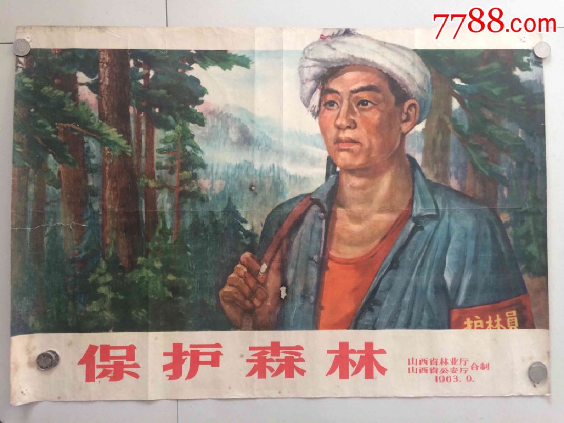 普30保護森林最新價格及其論述