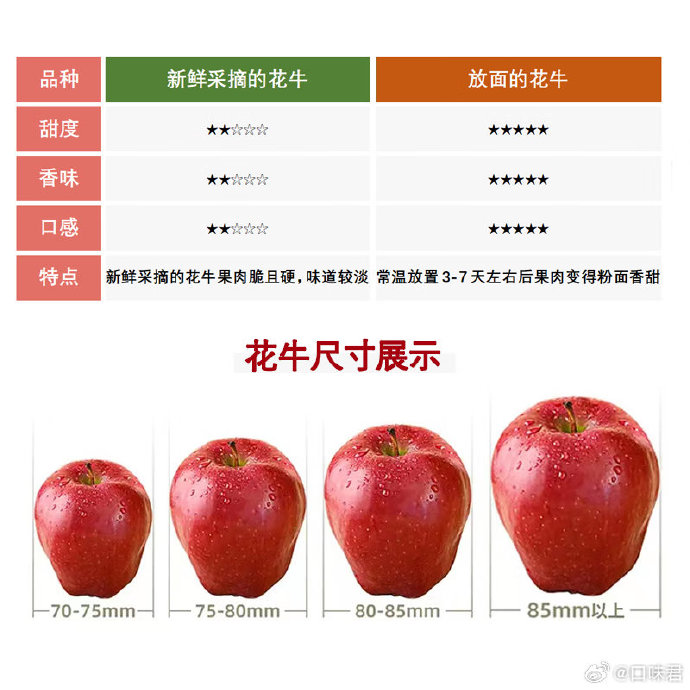 甘肅花牛蘋果最新價(jià)格探析及市場(chǎng)走勢(shì)預(yù)測(cè)，個(gè)人觀點(diǎn)分享